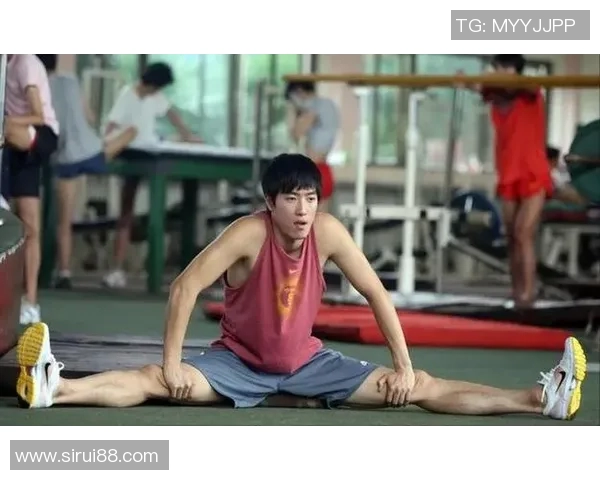 刘翔伤后复出历程中的坚持与荣耀展现了不屈的运动精神与光辉人生