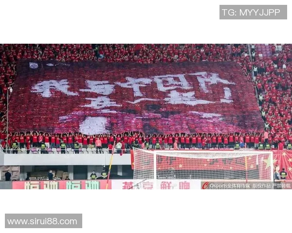 2024欧洲杯足球明星阵容揭晓各国顶尖球员齐聚一堂展现风采