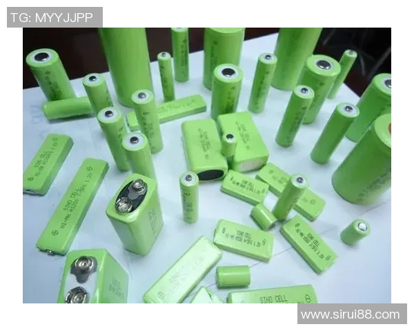 八一双鹿电池在国际市场的崛起与美国竞争的全景分析